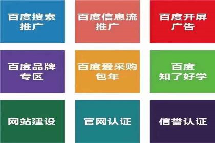 推广竞价策略解析：成功案例分享